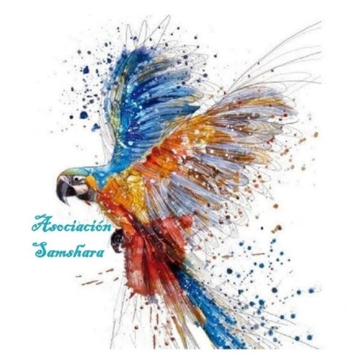 Samshara patrocinadores Amazona